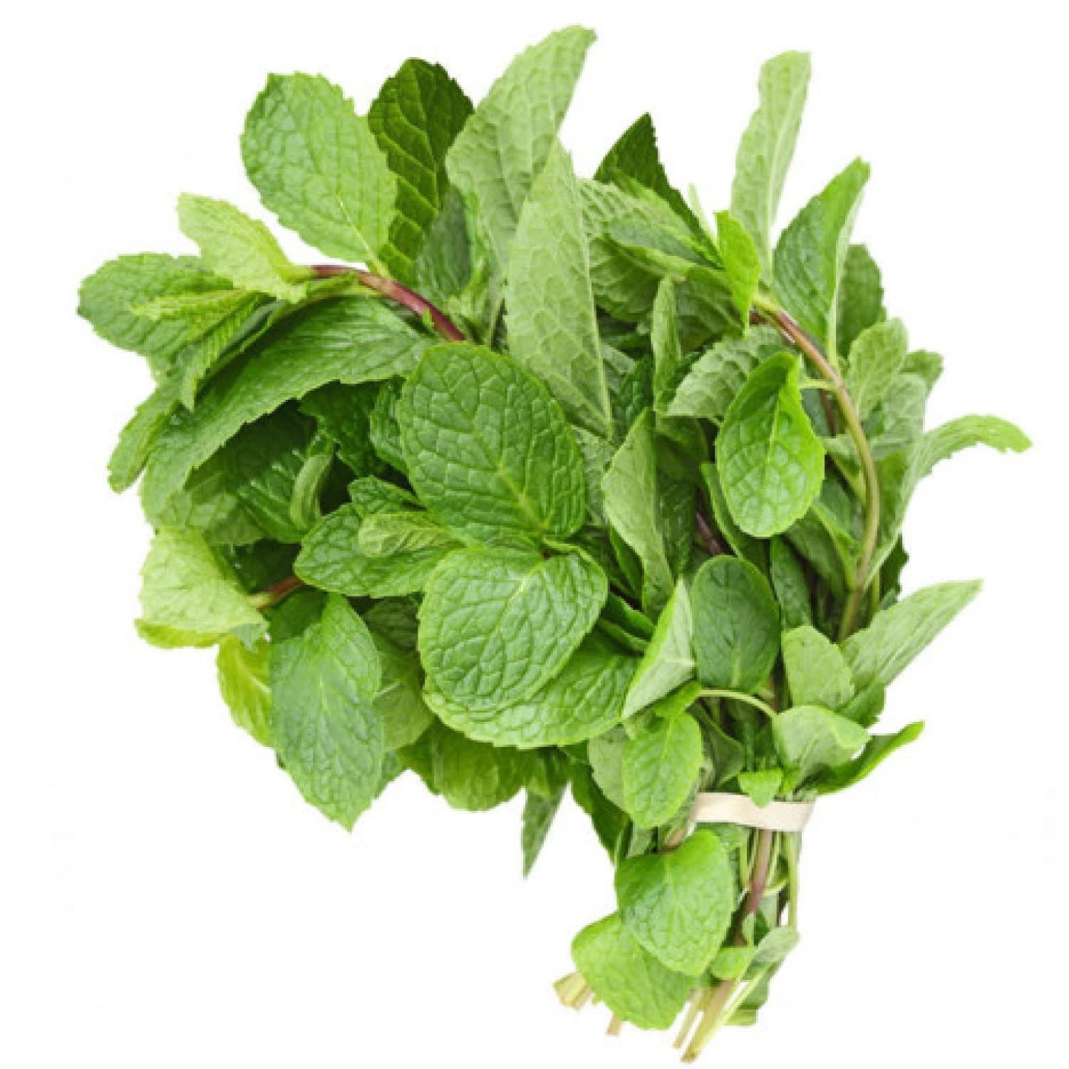 Fresh Herbs, Mint