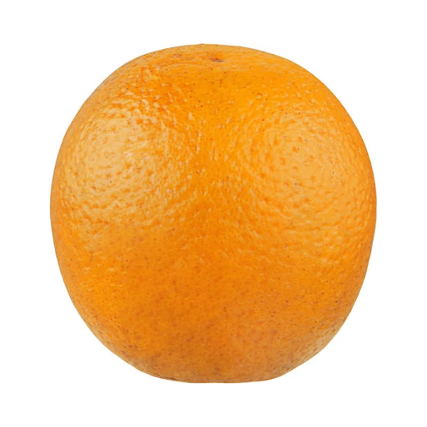 Fresh Oranges - Naval x 1ct.