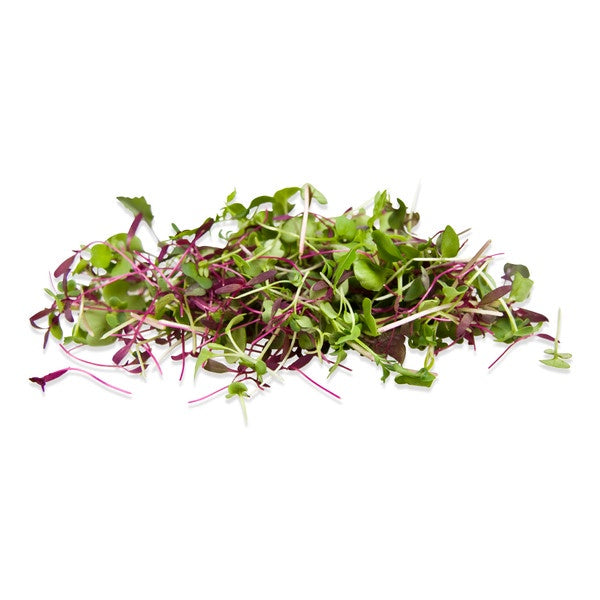 Microgreens, Rainbow Mix, 3oz Clamshell