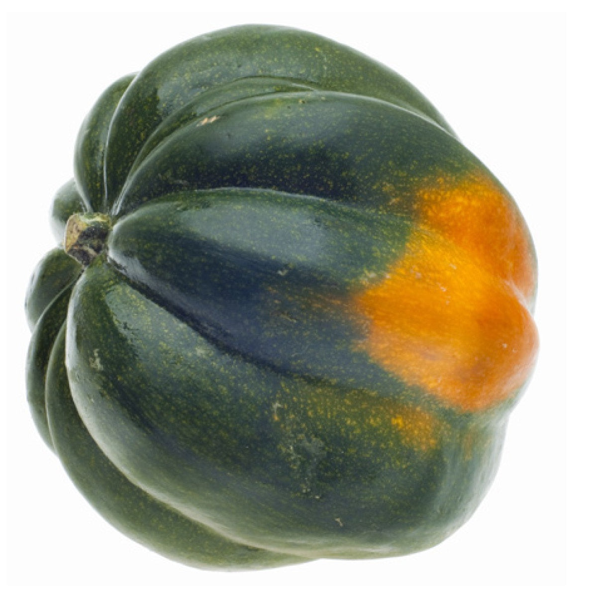 Fresh Squash - Acorn, 1 ct