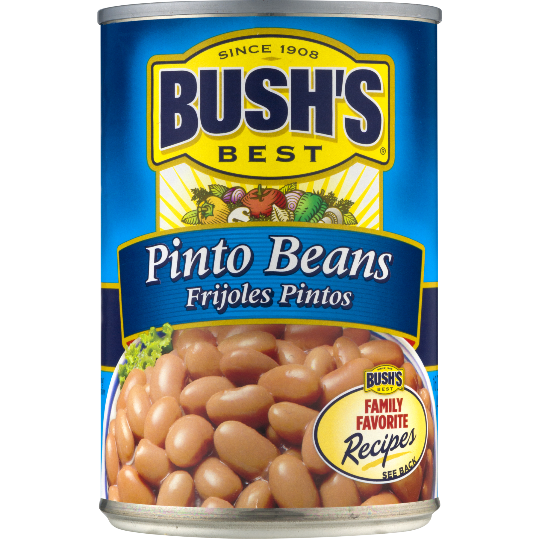 Bush's Pinto Beans, 16 oz