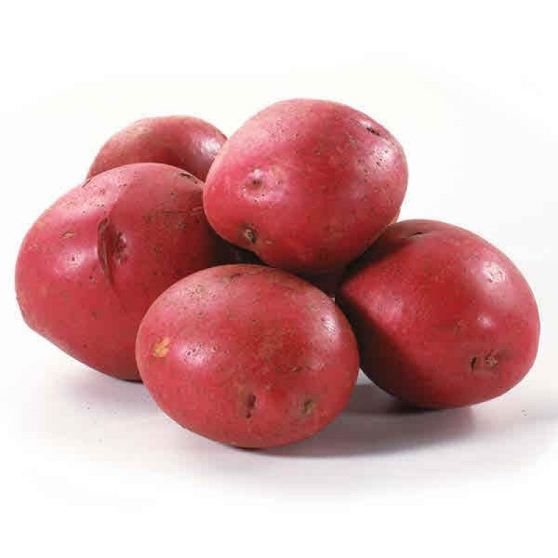 Fresh Potatoes - Red x 5lb