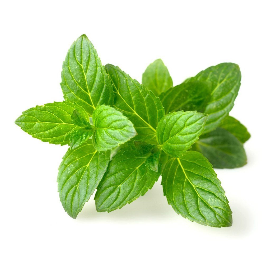 Fresh Cut Herbs - Mint, 1ct