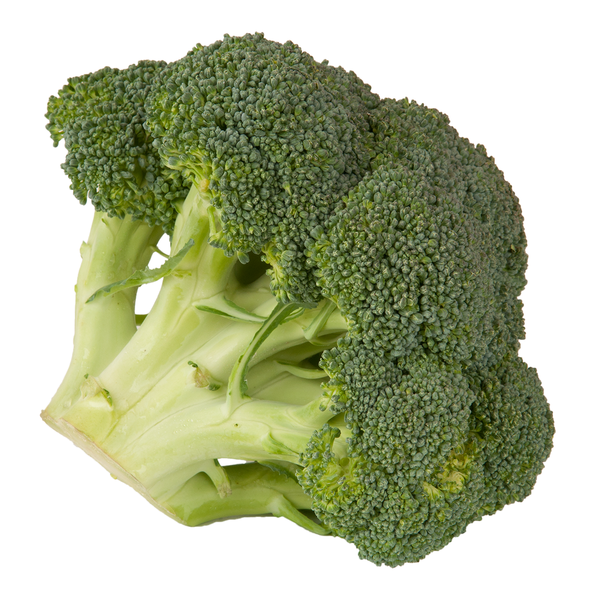 Fresh Broccoli - Crowns x 2 ct -avg.